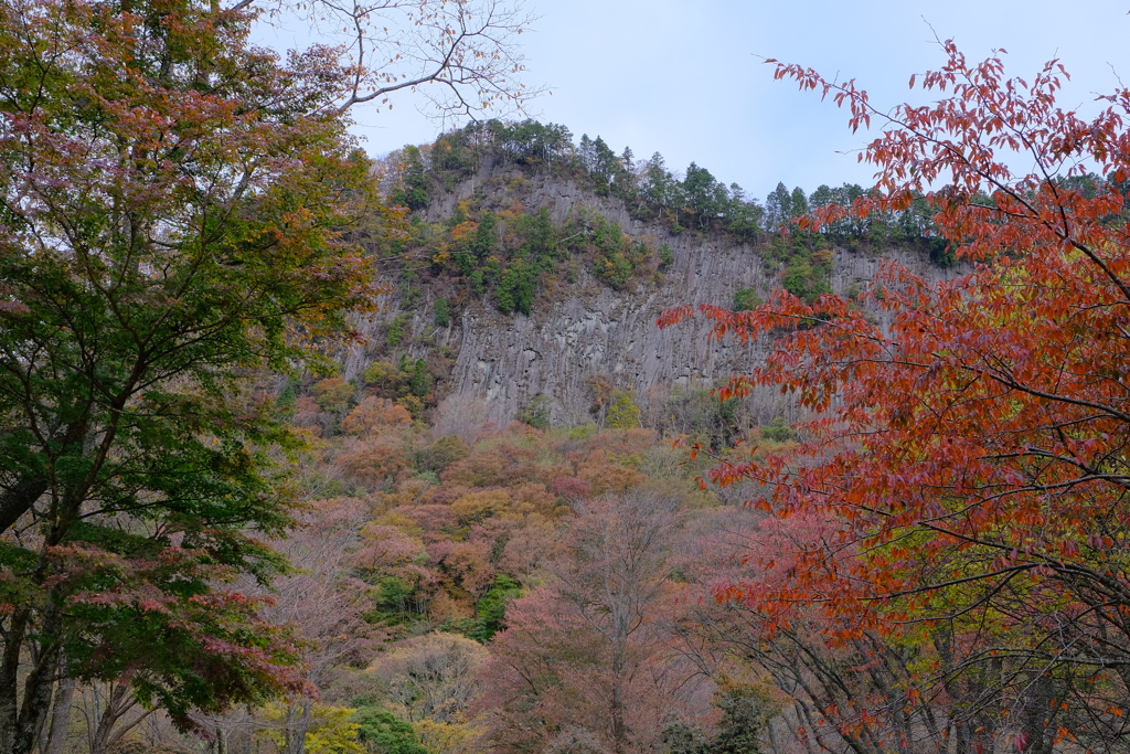 屏風岩公苑の紅葉