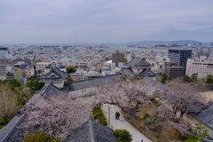 和歌山城
