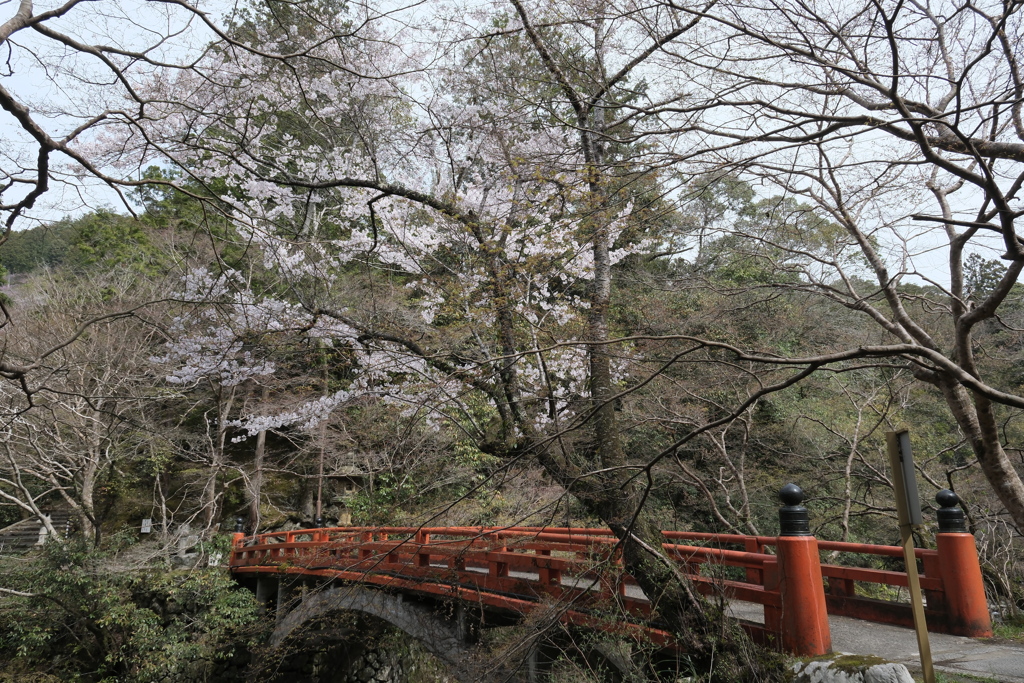 西明寺