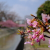 淀水路にて