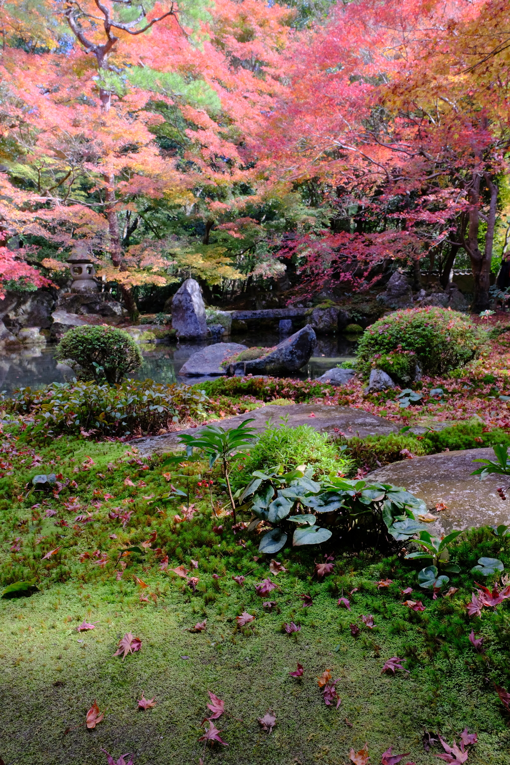 貴船口の紅葉