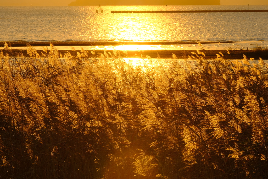 湖北夕景