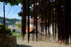 首里金城町の石畳道