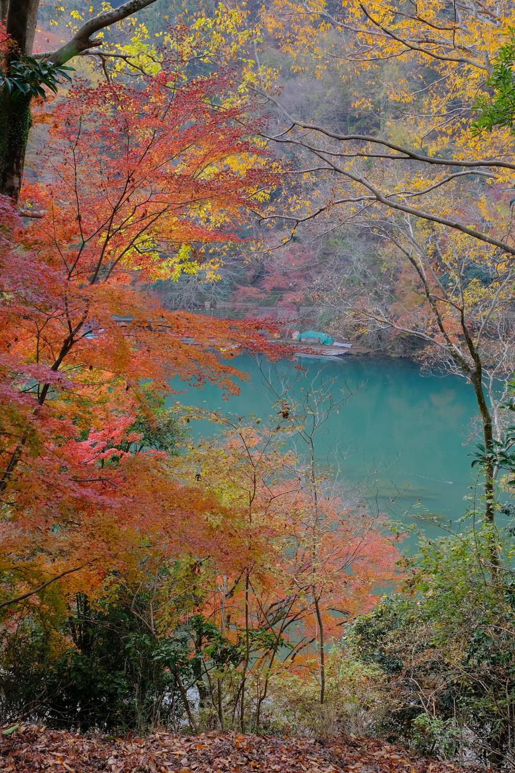 嵐山の紅葉