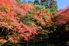 貴船口の紅葉