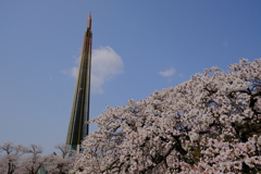 辯天宗冥應寺