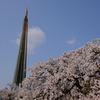 辯天宗冥應寺