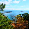 桂浜園地