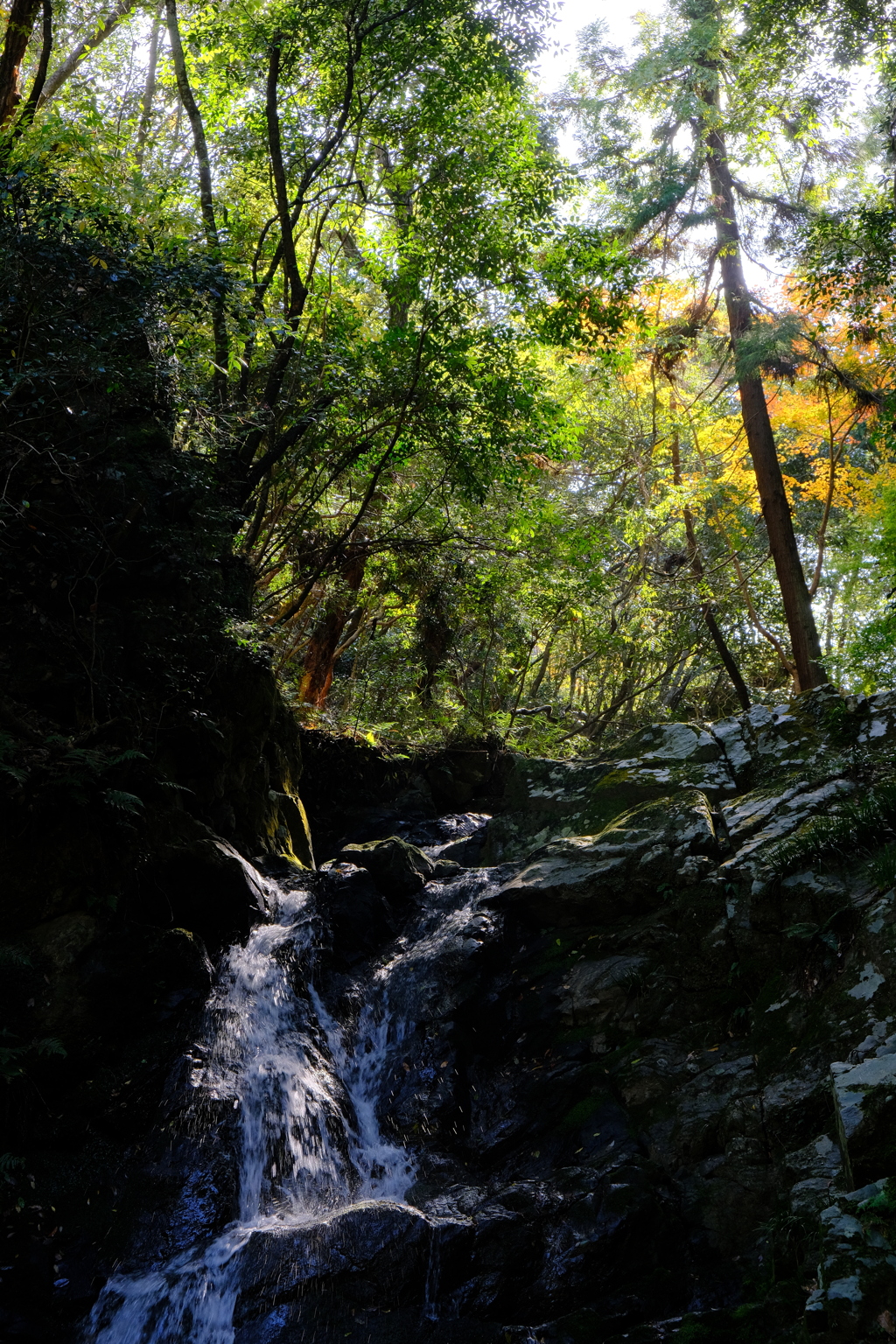 摂津峡の紅葉