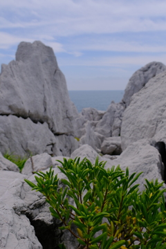 白崎海岸