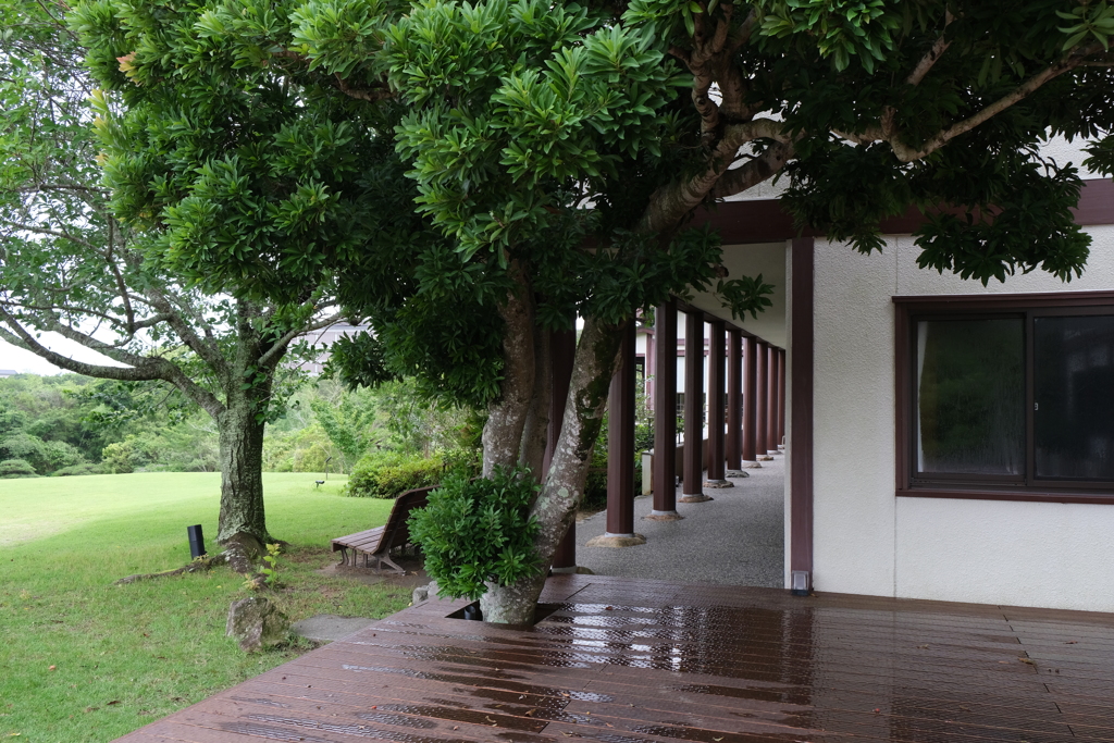 地上庭園