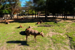 ミニチュアの奈良公園