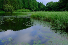 龍王ヶ淵