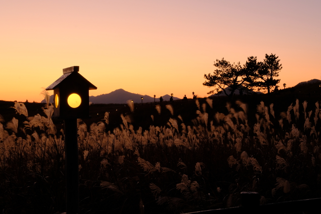 曽爾高原の夕暮れ