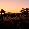 曽爾高原の夕暮れ