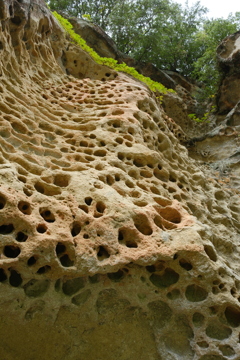 高池の虫喰岩