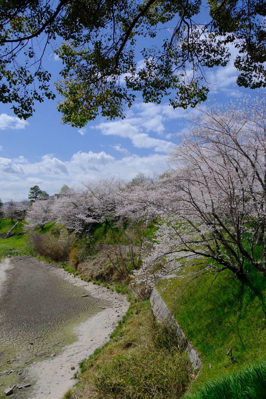 大和郡山城跡