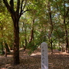 正楽寺山古墳
