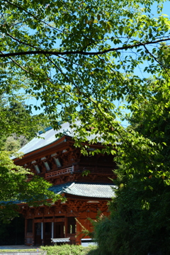 大門