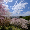 大美和の杜展望台より
