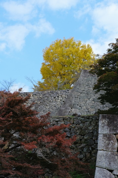 津山城の紅葉