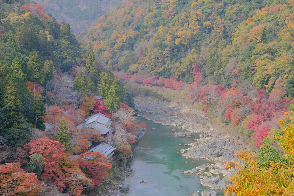 嵐山公園より