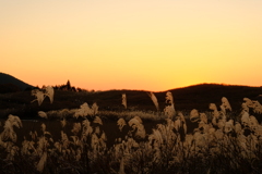 曽爾高原の夕暮れ