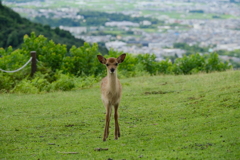 ぼっち