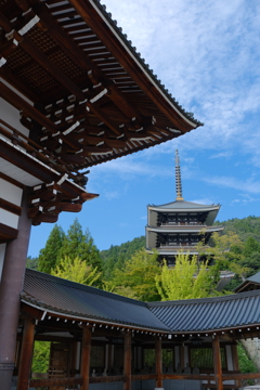 大師山清大寺