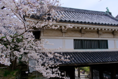 和歌山城