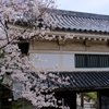 和歌山城