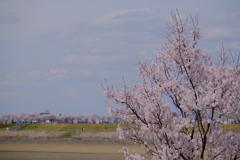 狭山池公園