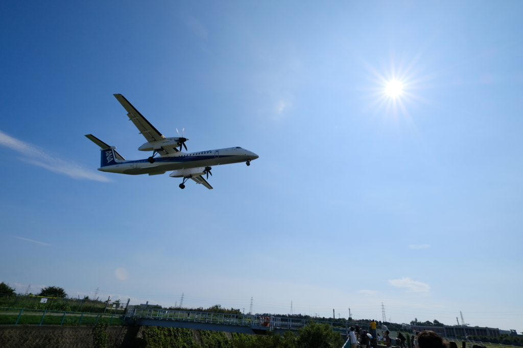 千里川土手の飛行機