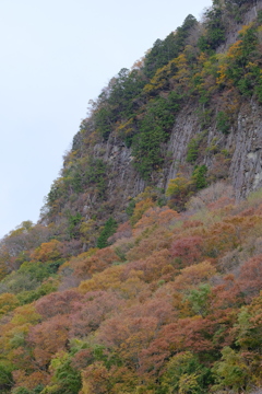 屏風岩公苑の紅葉