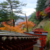 太皷谷稲成神社