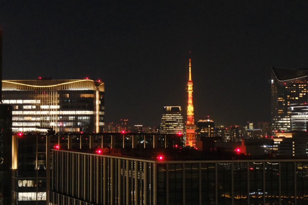 タワーとは遠くにありて眺めるもの