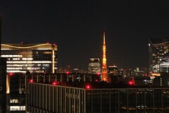 タワーとは遠くにありて眺めるもの