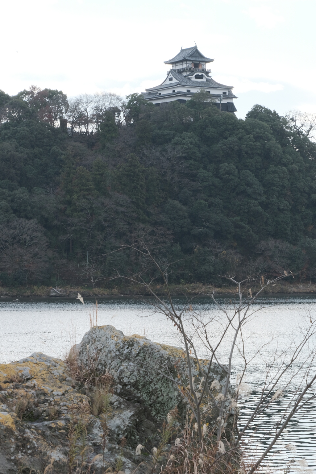 岐阜県側からの犬山城