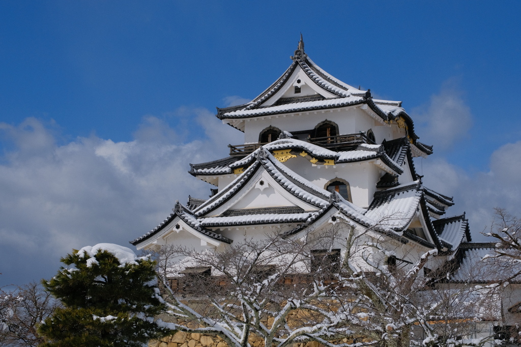 雪の彦根城
