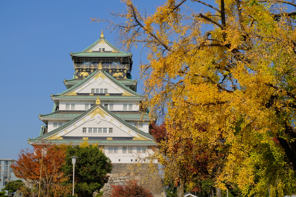 大阪城の紅葉