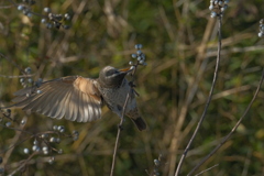 落ち着いて食べましょう