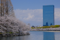 大阪城公園