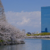 大阪城公園