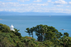 桂浜園地