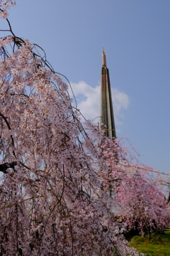 辯天宗冥應寺