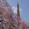 辯天宗冥應寺