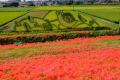 矢勝川堤の彼岸花