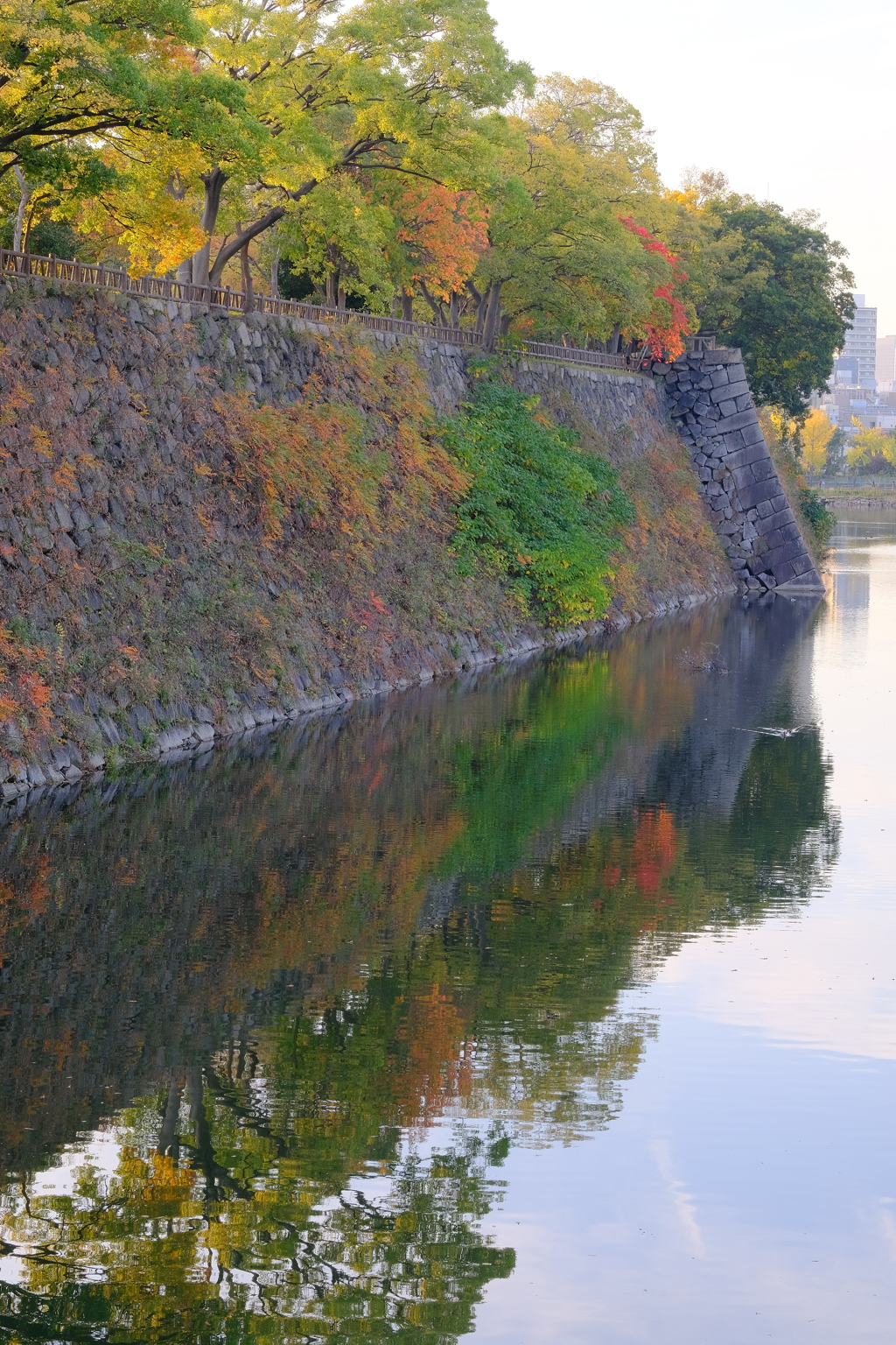 大阪城公園の紅葉
