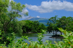 大沼公園