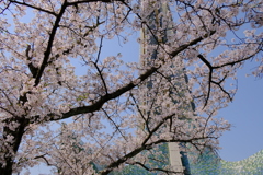 辯天宗冥應寺